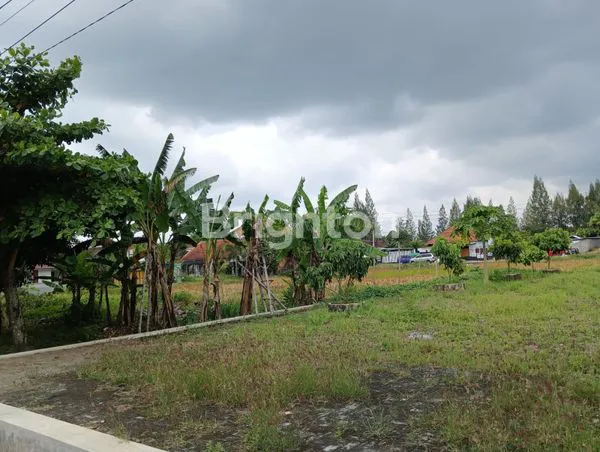 image TANAH PEKARANGAN LUAS SIAP BANGUN (7)