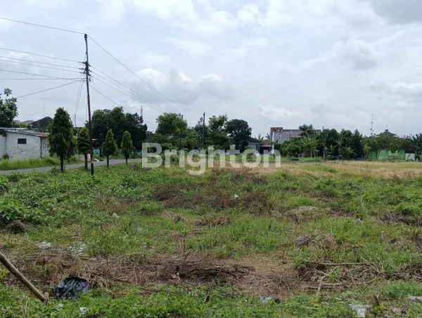 image TANAH PEKARANGAN LUAS SIAP BANGUN (1)