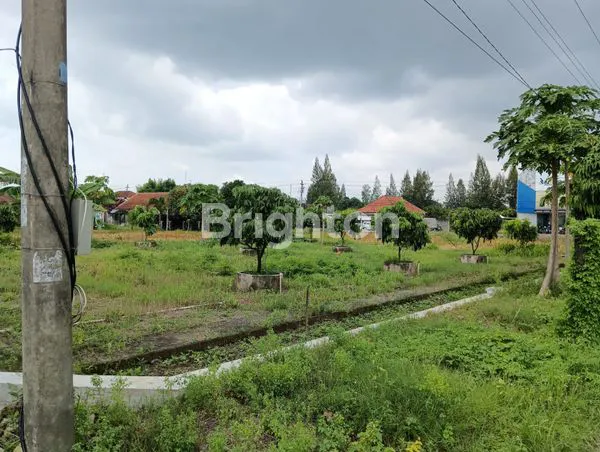image TANAH PEKARANGAN LUAS SIAP BANGUN (4)