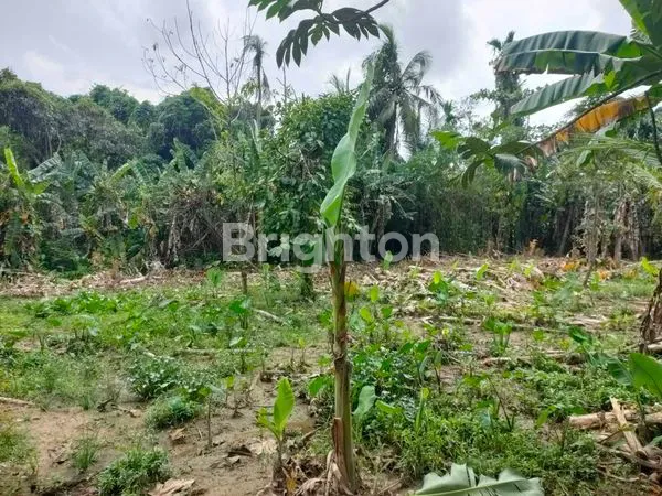 image TANAH DI JUAL JLN SURYANATA  (2)