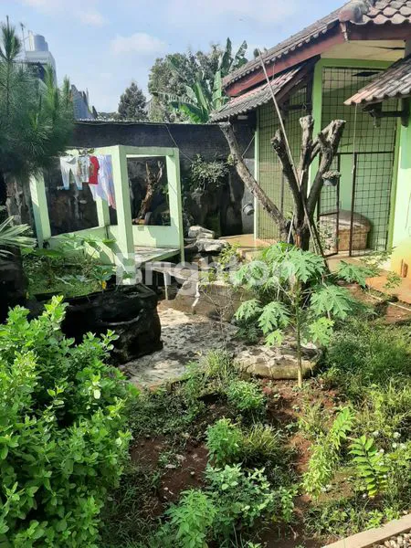 image RUMAH DEKAT UNDIP,LUAS,NYAMAN,ASRI (2)