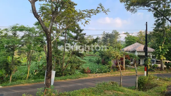 image TANAH PRIGEN PASURUAN (2)