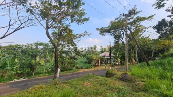 image TANAH PRIGEN PASURUAN (3)