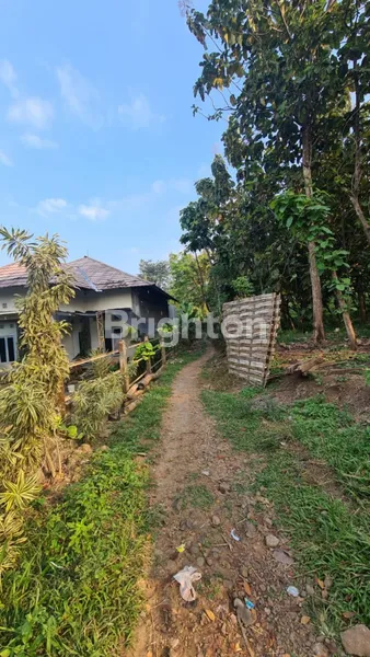 image TANAH PRIGEN PASURUAN (6)