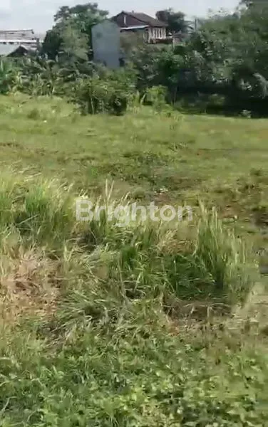 image TANAH 10 ARE GUNUNG PATAS (2)