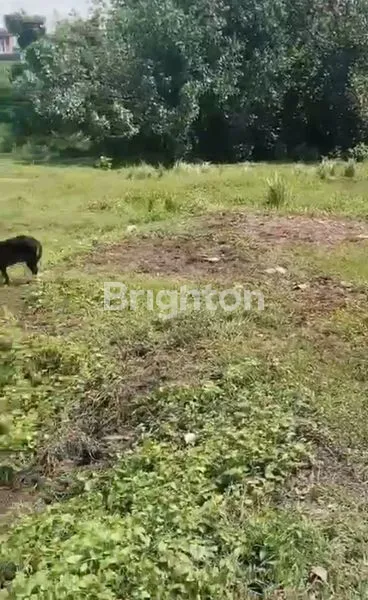 image TANAH 10 ARE GUNUNG PATAS (3)