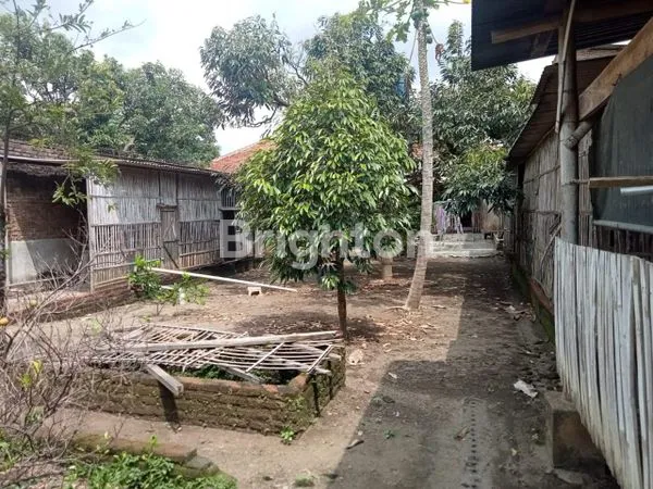 image DIJUAL RUMAH BESAR DAN LUAS MOJOROTO KEDIRI (3)