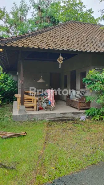 image TANAH BONUS BANGUNAN VILLA DEKAT  PANTAI SIYUT GIANYAR (5)