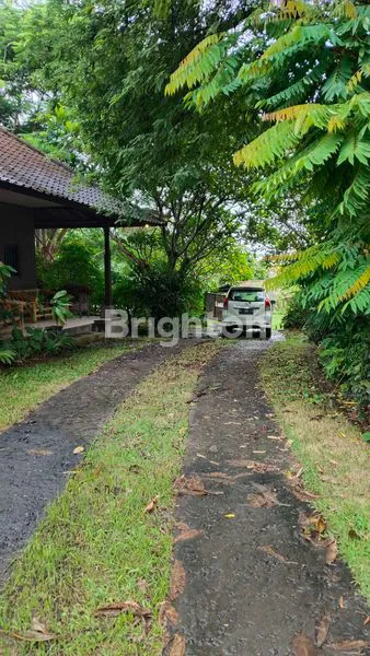 image TANAH BONUS BANGUNAN VILLA DEKAT  PANTAI SIYUT GIANYAR (7)