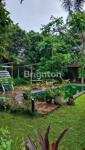 image TANAH BONUS BANGUNAN VILLA DEKAT  PANTAI SIYUT GIANYAR (8)