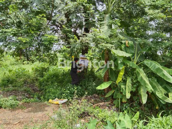 image SONOSEWU, SELANGKAH JL. RAYA YOGYAKARTA WATES, RINGROAD BARAT  (4)