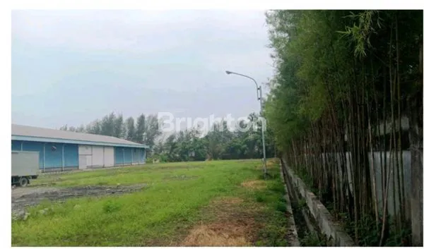 image EKS PABRIK MAKANAN DI PANTURA TEGAL (5)