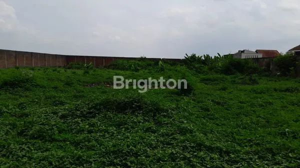 Gambar Property TANAH MATANG SIAP BANGUN SOLOKAN JERUK MAJALAYA DANGDEUR RANCAEKEK