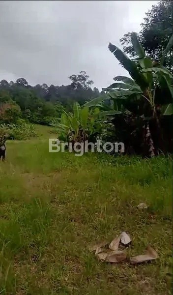 image DIJUAL TANAH 12,5 HEKTAR – JALAN RAYA BATUPUTU (2)