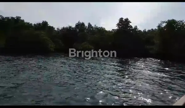 image DIJUAL CEPAT LAHAN PULAU PARIWISATA  (5)