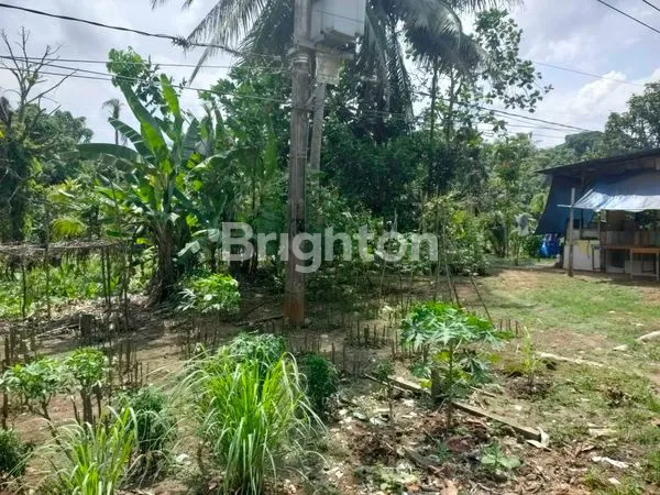 image TANAH DI JUAL JLN SURYANATA  (4)