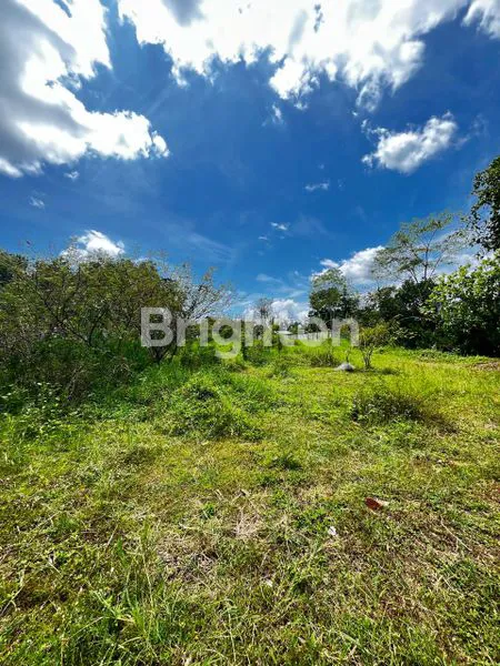 image TANAH LUAS 2 HA NOL JALAN RAYA KOTA BATU (3)