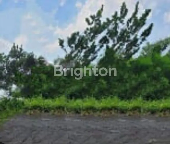 image TANAH 1HA DI SAMBI SARI (2)