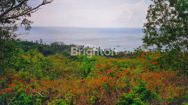image TANAH DI NUSA PENIDA OCEAN VIEW (1)