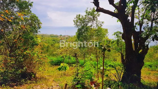 image TANAH DI NUSA PENIDA OCEAN VIEW (4)