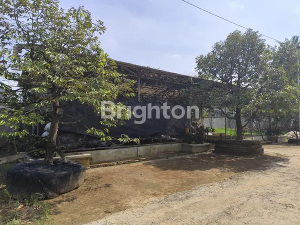 TANAH DI SEWAKAN DI BATANG KUIS TANJUNG MORAWA