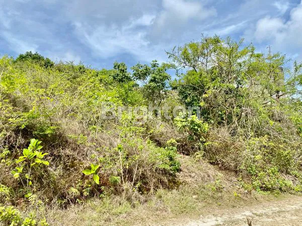 image TANAH DI JIMBARAN DEKAT DENGAN GWK (4)