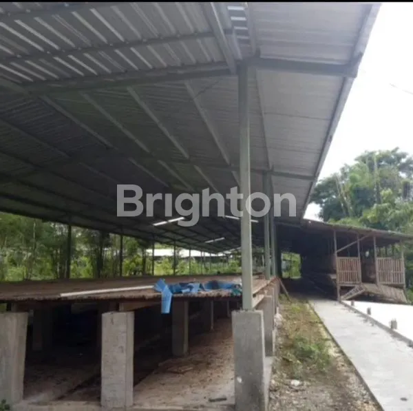 image BU, SEGERA, DIJUAL LAHAN PETERNAKAN SIAP PAKAI GUNUNGKIDUL (5)