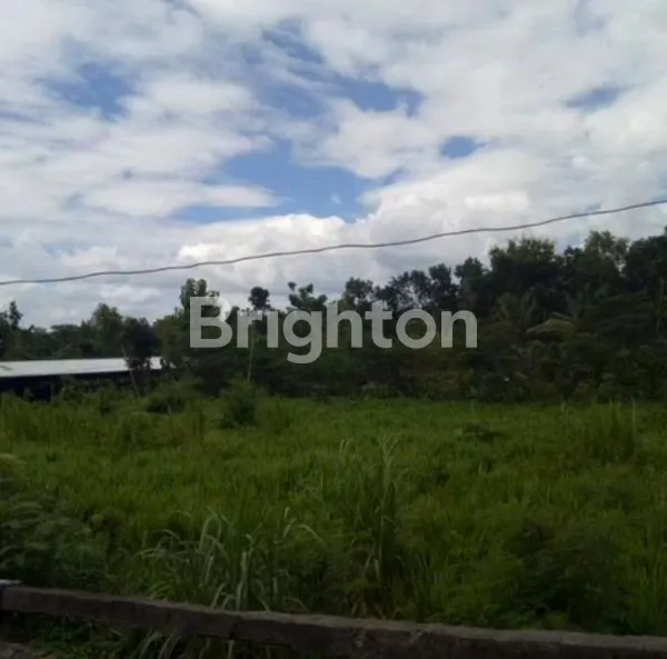 image BU, SEGERA, DIJUAL LAHAN PETERNAKAN SIAP PAKAI GUNUNGKIDUL (2)