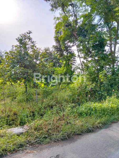 image TANAH JUAL CEPAT !!! (1)