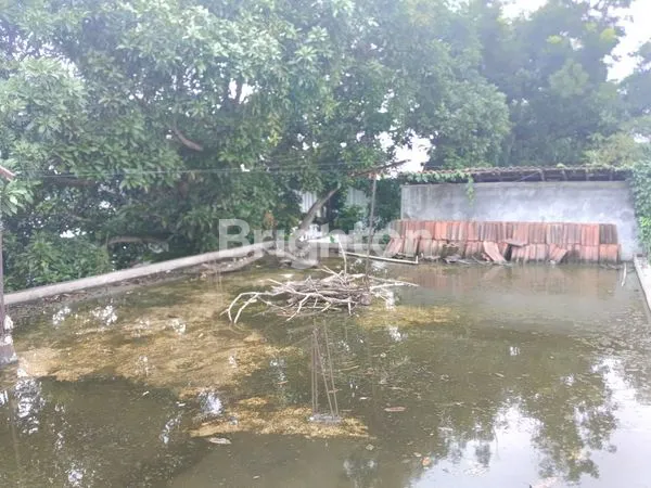 DI JUAL SEGERA RUMAH