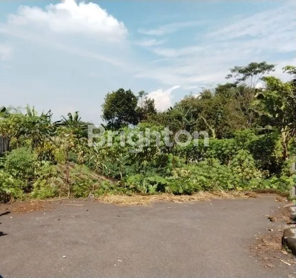 image TANAH + KEBUN LEMBANG BANDUNG BARAT (1)