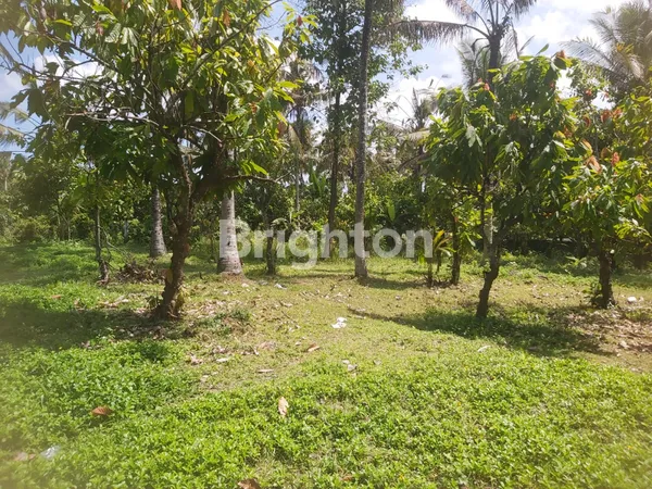 image TANAH 18 ARE DI TIMPAG KERAMBITAN TABANAN DEKAT TEMPAT WISATA (2)