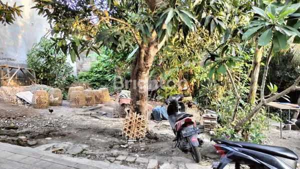 image DIJUAL TANAH SUBAK DALEM, DENPASAR BALI (4)