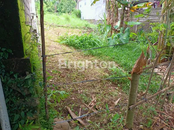 image DIJUAL TANAH KAVLING STRATEGIS DI KALIAKAH, NEGARA – JEMBRANA | LUAS 215 M² (3)