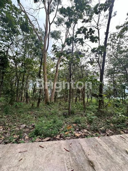 image TANAH KAVLING BLOK J GRANADA LAND PUNCAK  2 BOGOR (7)