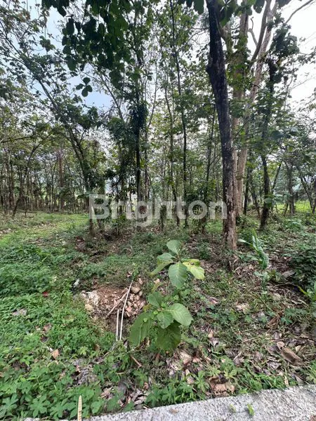 image TANAH KAVLING BLOK J GRANADA LAND PUNCAK  2 BOGOR (5)