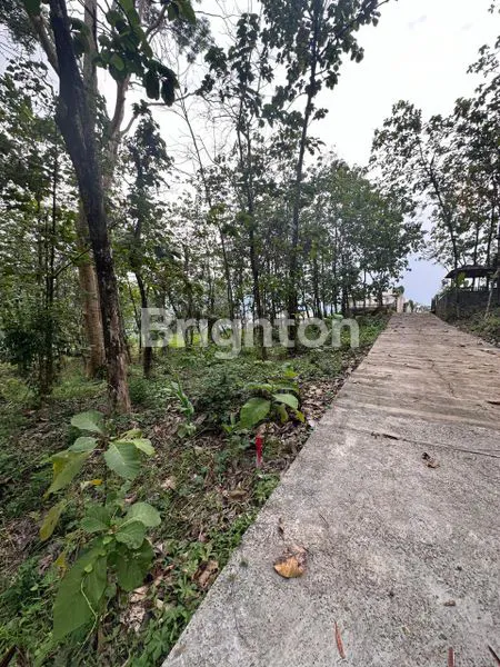 image TANAH KAVLING BLOK J GRANADA LAND PUNCAK  2 BOGOR (3)