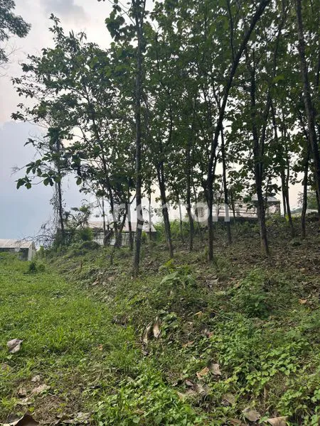 image TANAH KAVLING BLOK J GRANADA LAND PUNCAK  2 BOGOR (6)