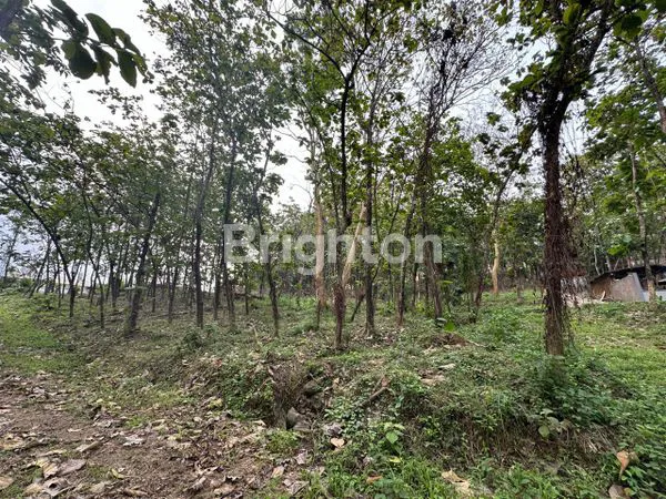 image TANAH KAVLING BLOK J GRANADA LAND PUNCAK  2 BOGOR (8)