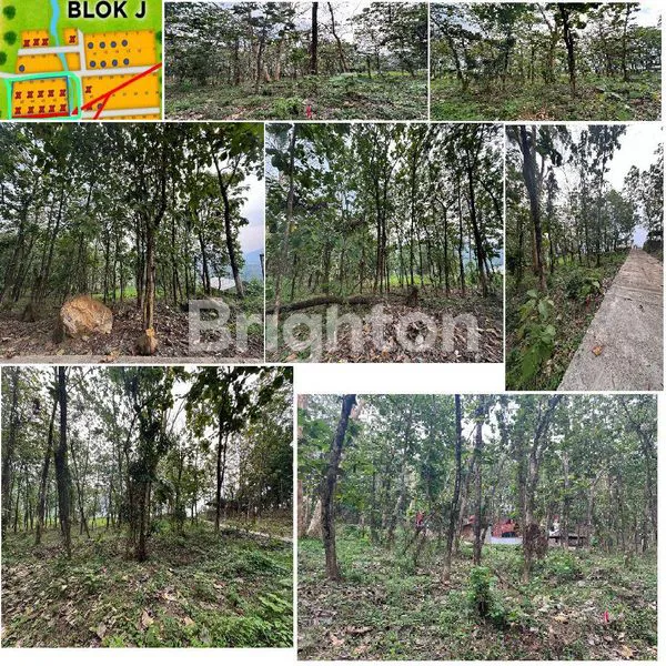 image TANAH KAVLING BLOK J GRANADA LAND PUNCAK  2 BOGOR (1)