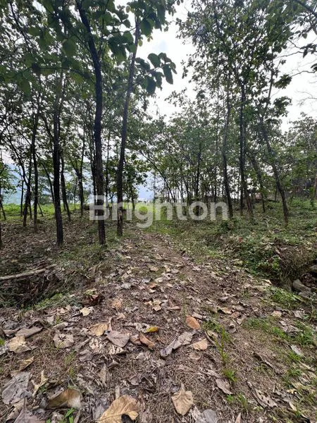 image TANAH KAVLING BLOK J GRANADA LAND PUNCAK  2 BOGOR (4)