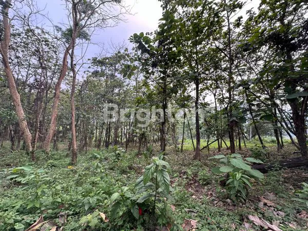 image TANAH KAVLING BLOK J GRANADA LAND PUNCAK  2 BOGOR (2)