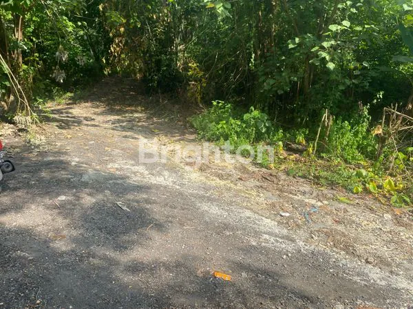 TANAH TEPI SUNGAI SELINGSING CEPAKA KABA KABA