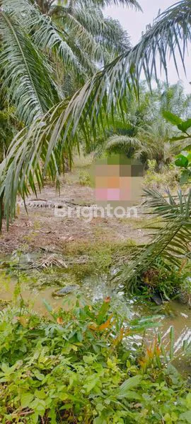 image TANAH KARANG GADING (1)