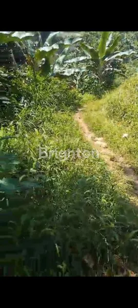 image DIJUAL TANAH PERKEBUNAN 1,3 HEKTAR – HARGA TERJANGKAU!  (1)