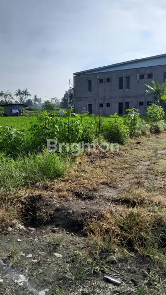 image SAWAH JOGJA UTARA, SELANGKAH JL. PANDANARAN KAMPUS UII KALIURANG KM 11  (2)