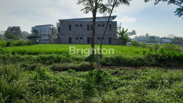 image SAWAH JOGJA UTARA, SELANGKAH JL. PANDANARAN KAMPUS UII KALIURANG KM 11  (3)