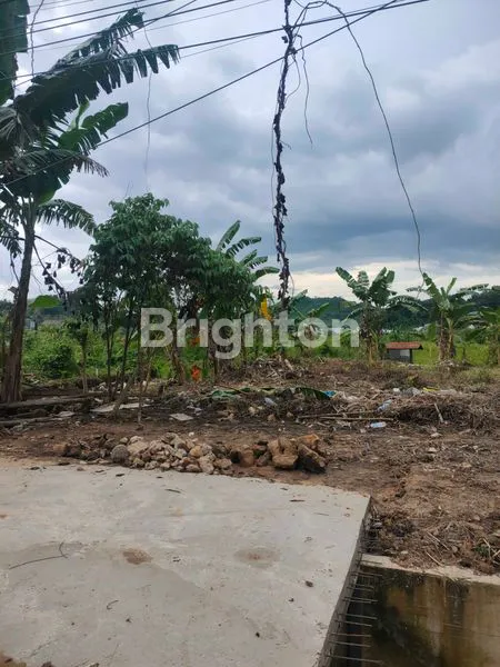 image TANAH DI SEWA SIMPANG PASIR  (3)