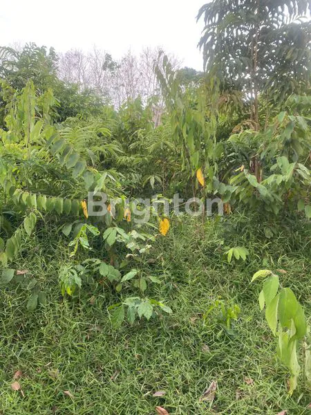 image TANAH KERAS 8 KAVLING PINGGIR JALAN AREA GANDUS (4)