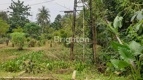 image TANAH  TANGERANG SELATAN MUNCUL SETU (2)